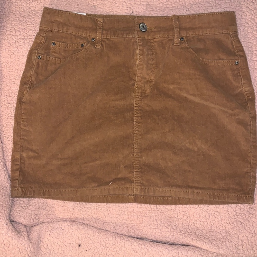 Brown Skirt. Never Worn